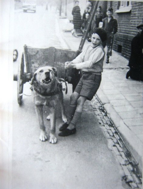 065- Herman Bouwens en zijn Karhond 1954